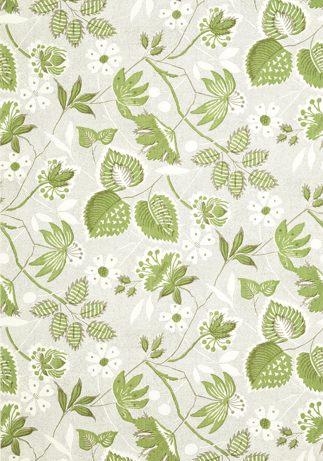 Anna French INDIENNE HAZEL Green and Beige Wallpaper