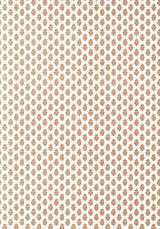 Anna French JULIAN Blush Wallpaper