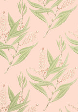 Anna French WINTER BUD Blush Wallpaper