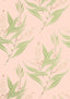 Anna French WINTER BUD Blush Wallpaper