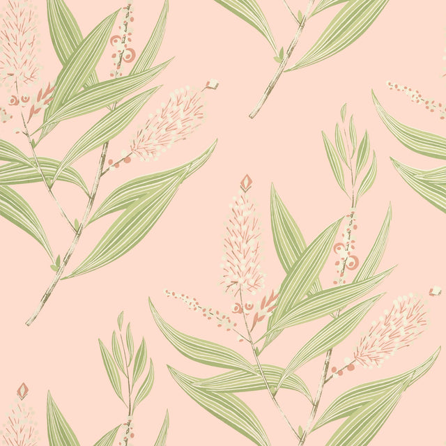 Anna French Winter Bud Blush Wallpaper