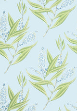 Anna French WINTER BUD Soft Blue Wallpaper