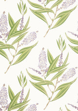 Anna French WINTER BUD Lavender Wallpaper