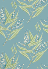 Anna French WINTER BUD Teal Wallpaper