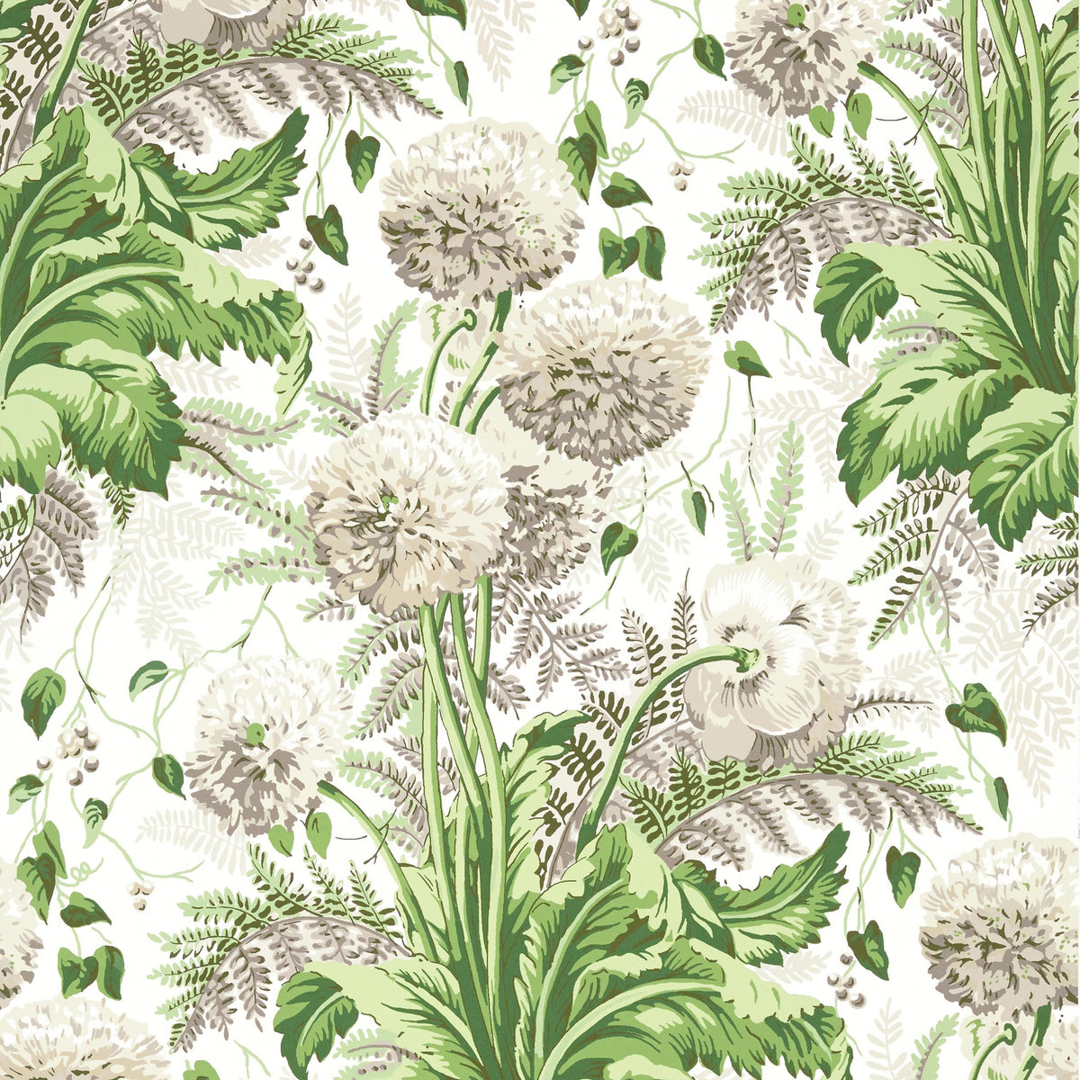 Anna French Dahlia Spring On White Wallpaper