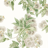 Anna French CAMELLIA GARDEN Spring on White Wallpaper