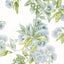 Anna French Camellia Garden Sky Wallpaper