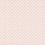 Anna French MINI SUN Rose Wallpaper