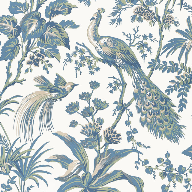 Anna French PEACOCK TOILE Blue and Green Wallpaper
