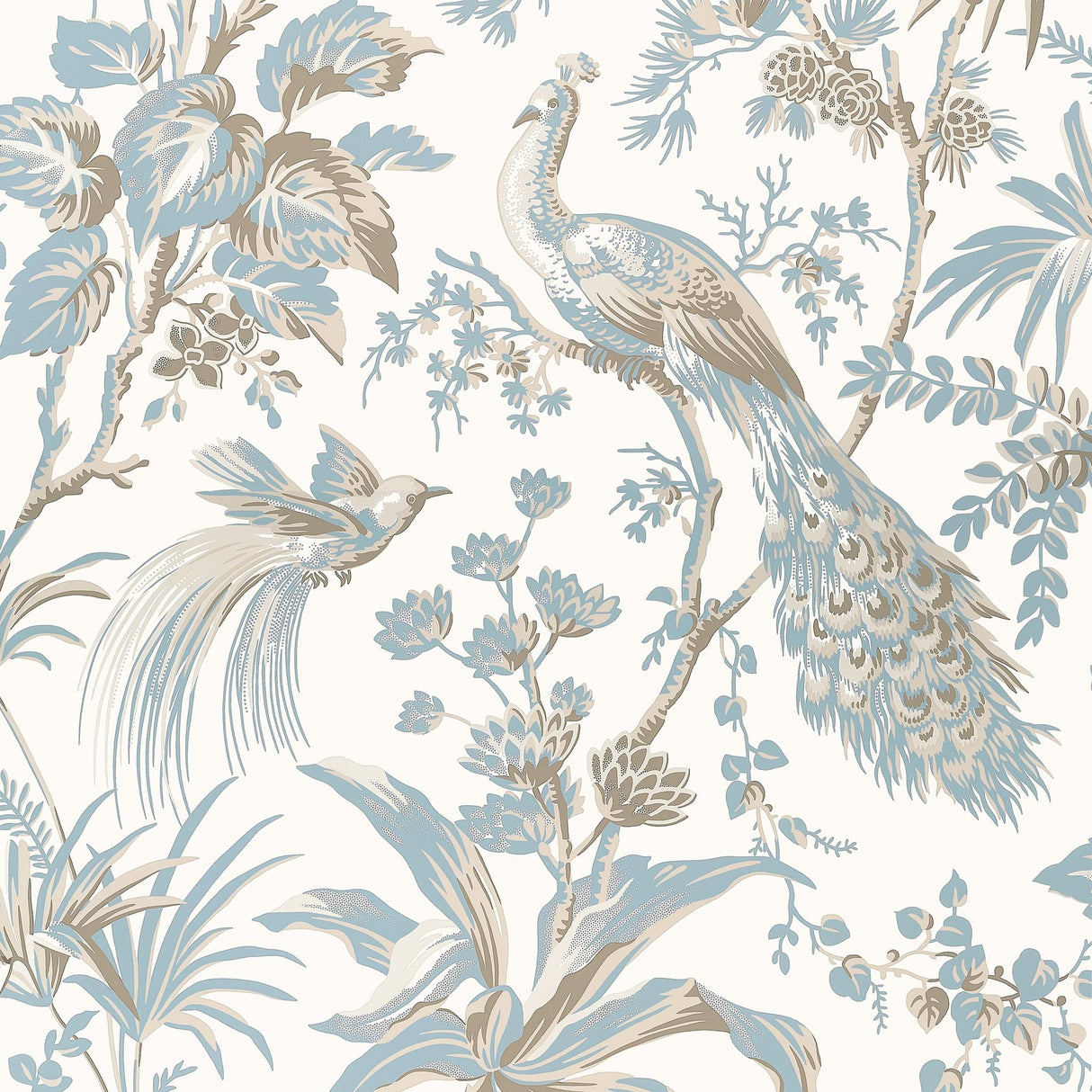 Anna French PEACOCK TOILE Soft Blue and Beige Wallpaper