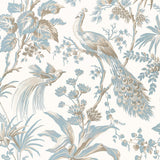 Anna French PEACOCK TOILE Soft Blue and Beige Wallpaper