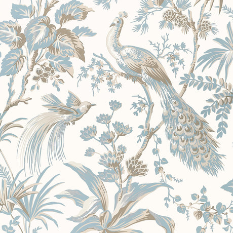 Anna French PEACOCK TOILE Soft Blue and Beige Wallpaper