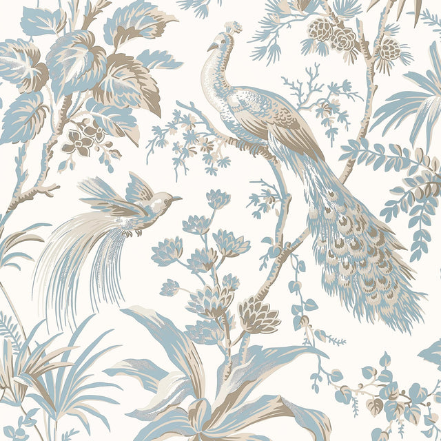 Anna French PEACOCK TOILE Soft Blue and Beige Wallpaper