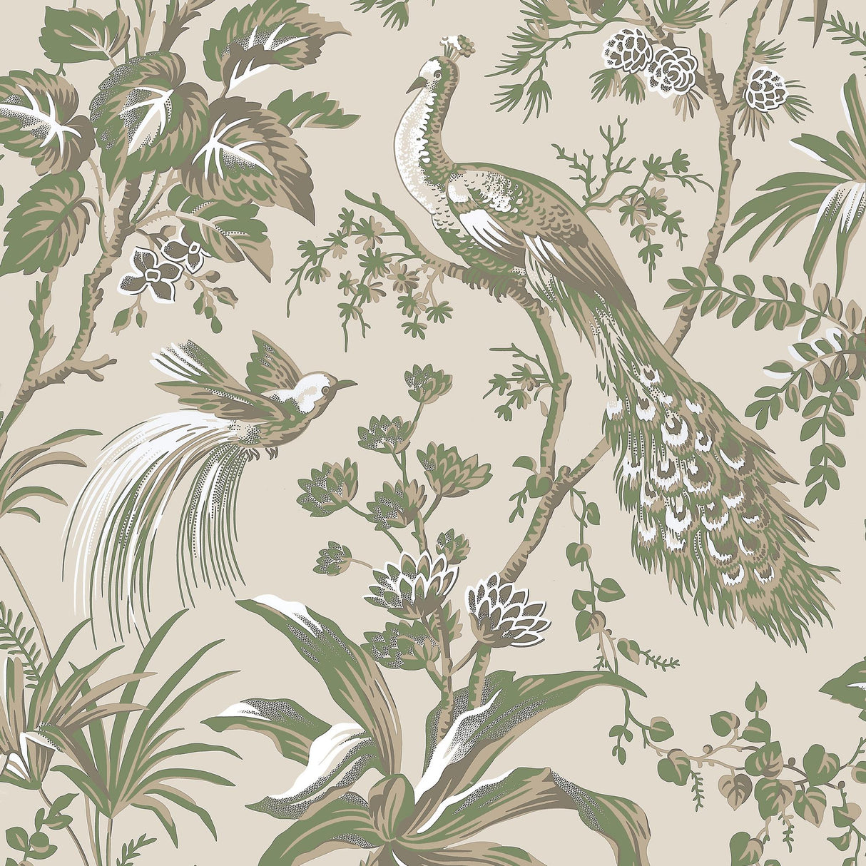 Anna French PEACOCK TOILE Green on Natural Wallpaper