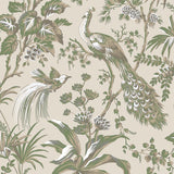 Anna French PEACOCK TOILE Green on Natural Wallpaper