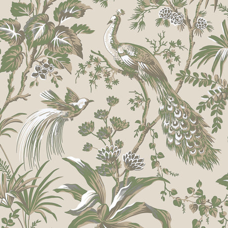 Anna French PEACOCK TOILE Green on Natural Wallpaper