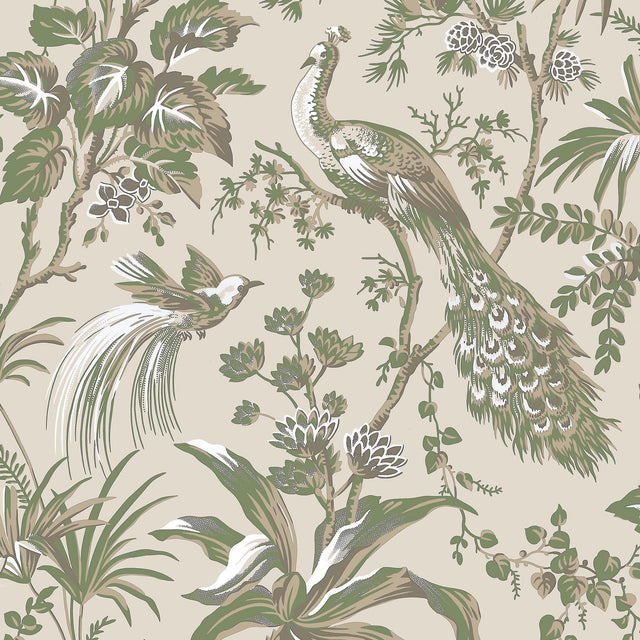 Anna French PEACOCK TOILE Green on Natural Wallpaper