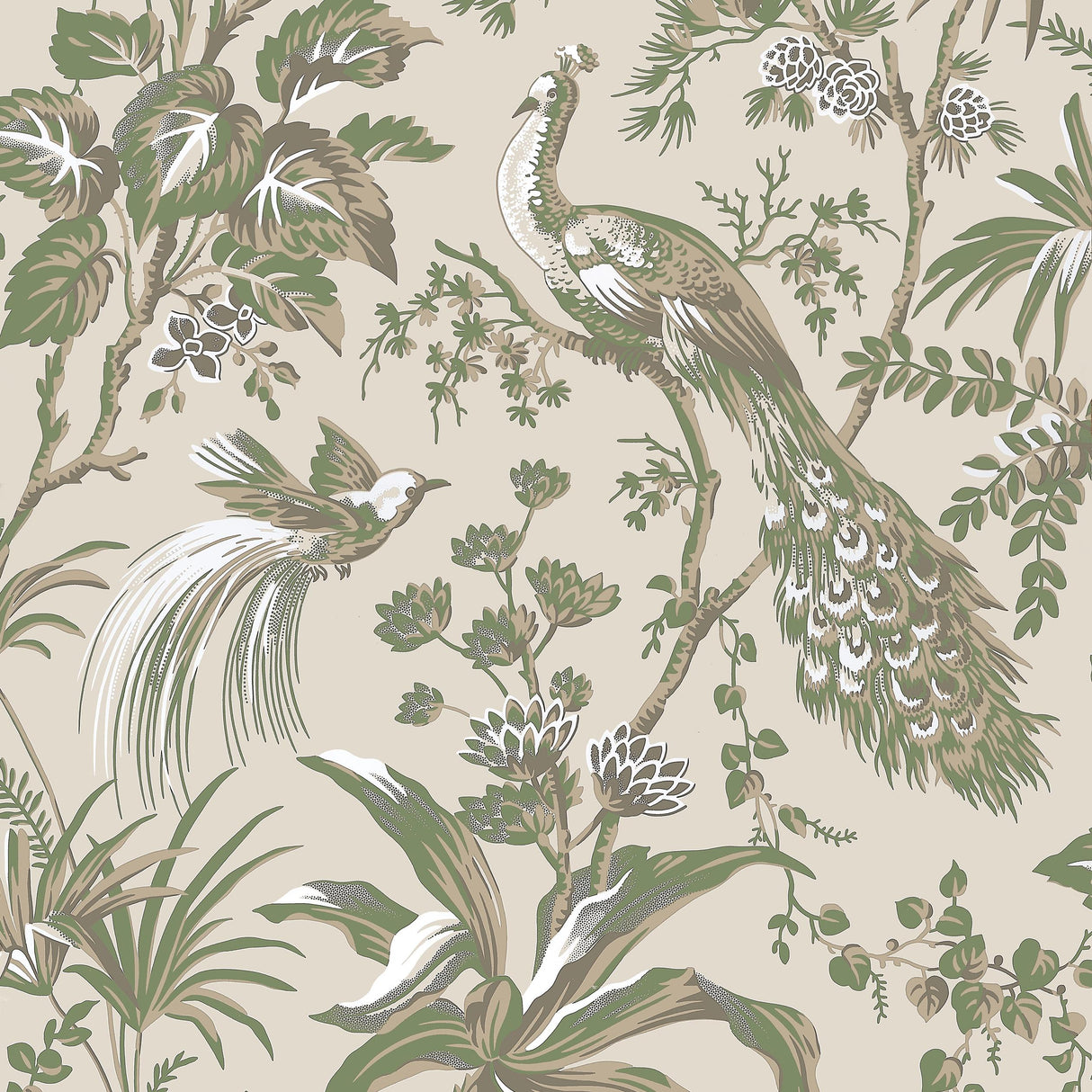 Anna French Peacock Toile Green On Natural Wallpaper