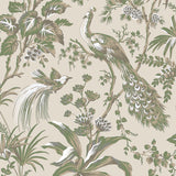 Anna French Peacock Toile Green On Natural Wallpaper