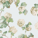 Anna French SUSSEX HYDRANGEA Soft Blue Wallpaper