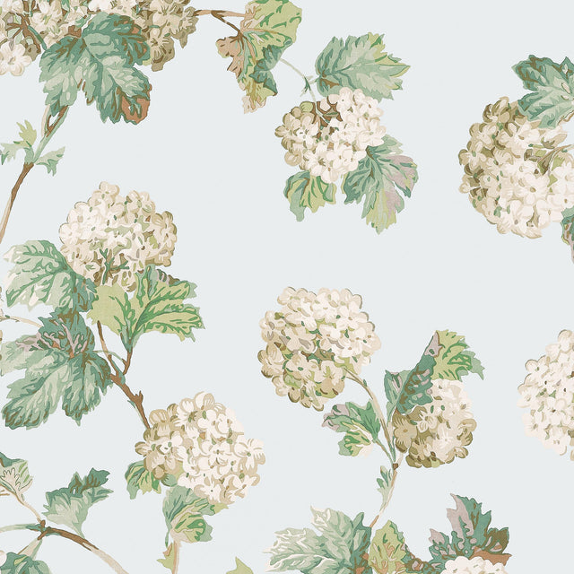Anna French Sussex Hydrangea Soft Blue Wallpaper