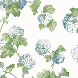 Anna French Sussex Hydrangea Blue And Green Wallpaper