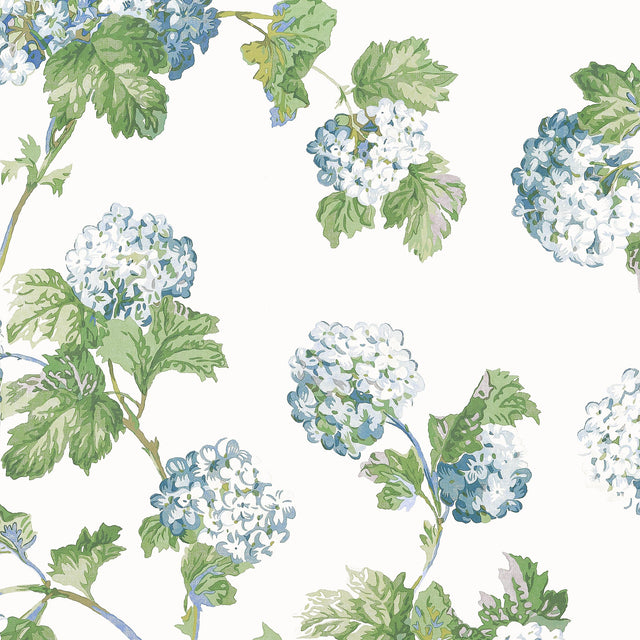 Anna French Sussex Hydrangea Blue And Green Wallpaper