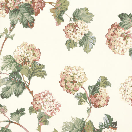 Anna French SUSSEX HYDRANGEA Soft Gold Wallpaper