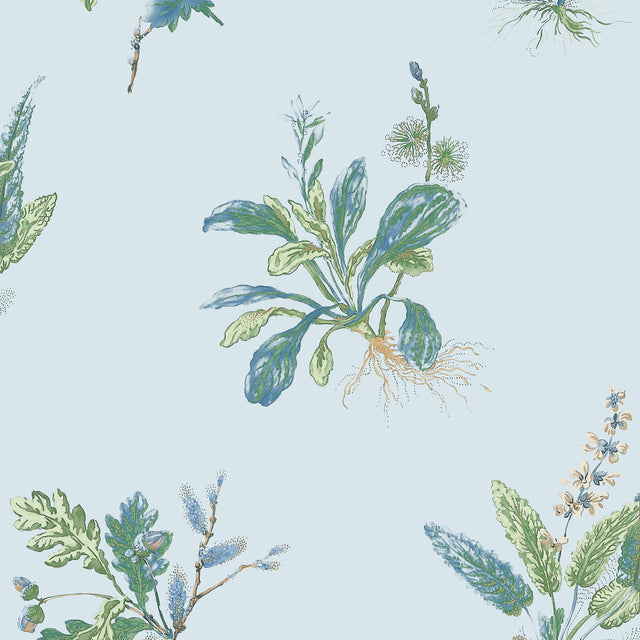 Anna French Woodland Blue And Green Wallpaper