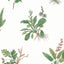 Anna French WOODLAND Green and Blush Wallpaper