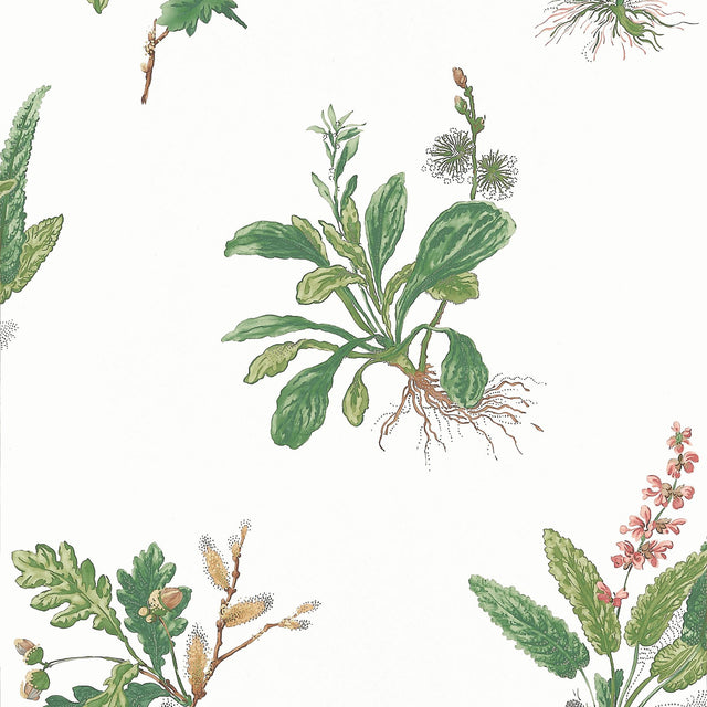 Anna French WOODLAND Green and Blush Wallpaper
