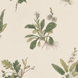 Anna French Woodland Green On Natural Wallpaper