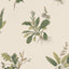 Anna French Woodland Green On Natural Wallpaper