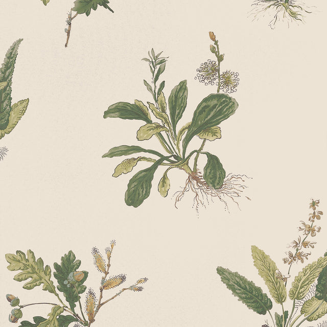 Anna French Woodland Green On Natural Wallpaper