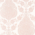 Anna French Balmuccia Damask Blush Wallpaper