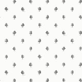 Anna French Ashton Black And White Wallpaper