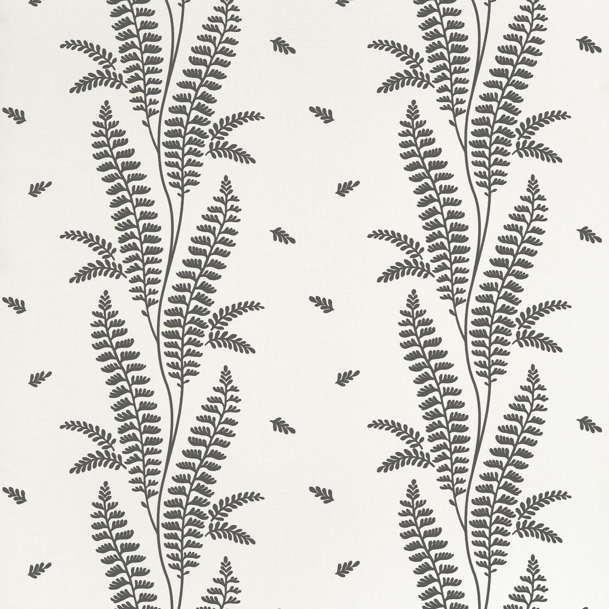 Anna French ENSBURY FERN Black Wallpaper