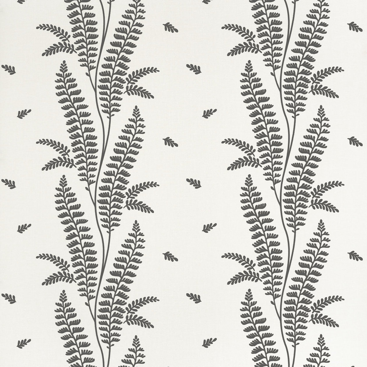 Anna French Ensbury Fern Black Wallpaper