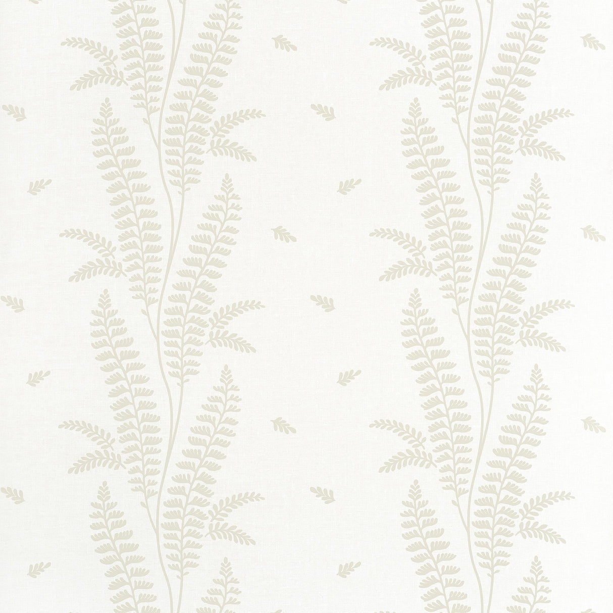 Anna French ENSBURY FERN Cream Wallpaper