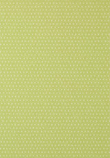 Anna French MALI DOT Green Wallpaper