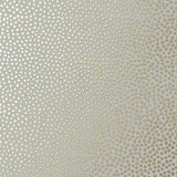 Anna French Davis Dot Metallic Gold On Pewter Wallpaper