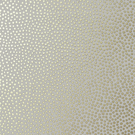 Anna French Davis Dot Metallic Gold On Pewter Wallpaper