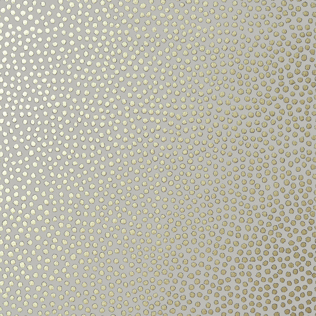 Anna French Davis Dot Metallic Gold On Pewter Wallpaper