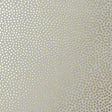 Anna French Davis Dot Metallic Gold On Pewter Wallpaper