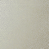 Anna French Davis Dot Metallic Gold On Pewter Wallpaper