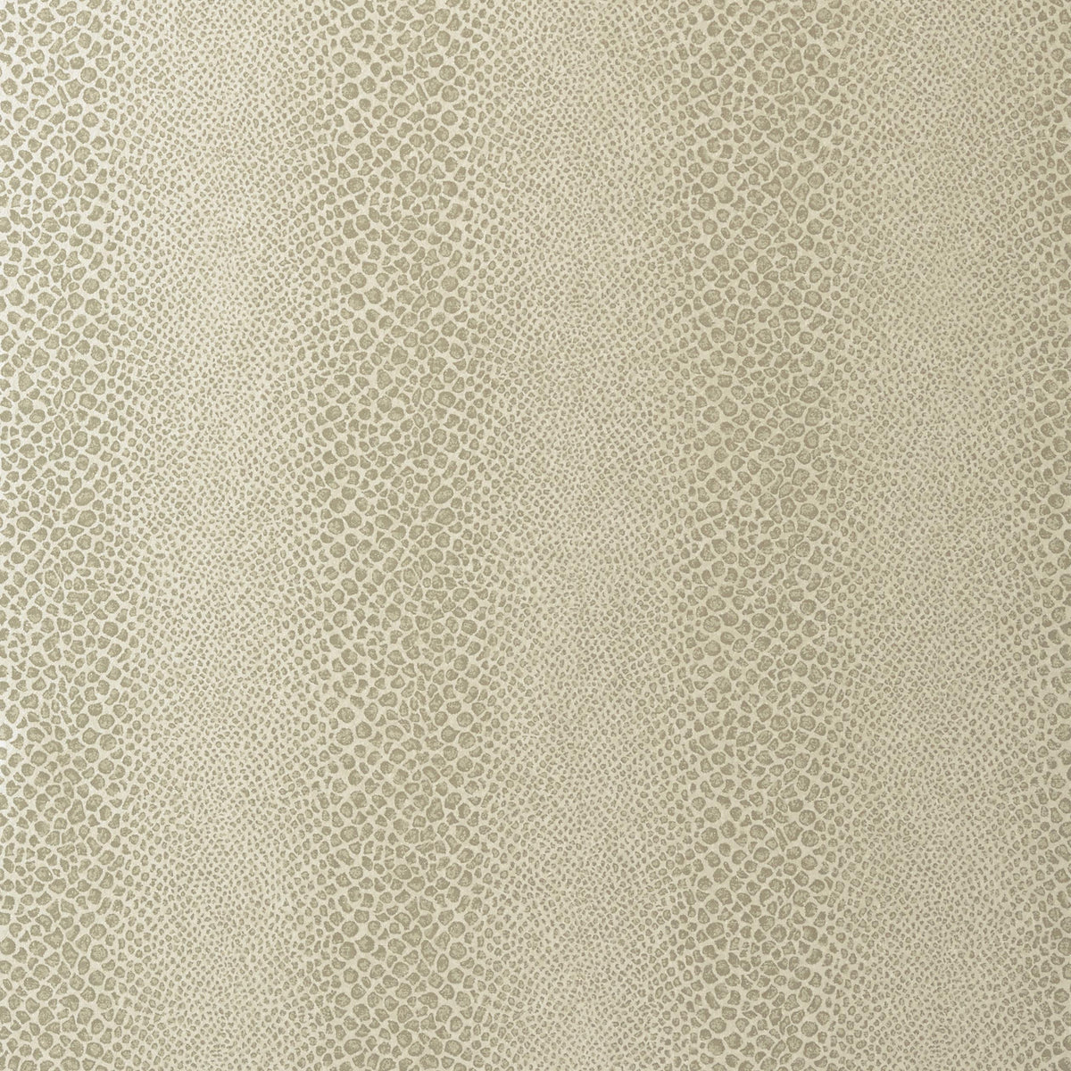 Anna French Mamba Pearl Wallpaper