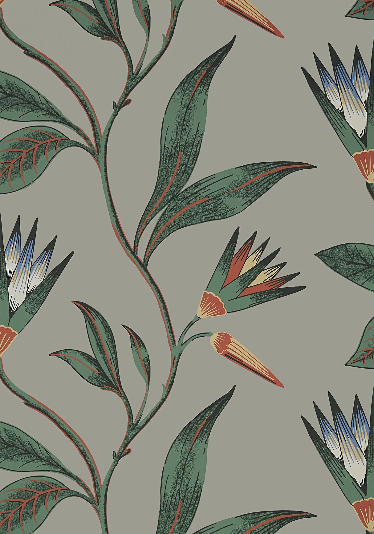 Anna French CLEO VINE Charcoal Wallpaper