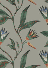 Anna French CLEO VINE Charcoal Wallpaper