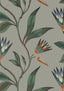 Anna French CLEO VINE Charcoal Wallpaper