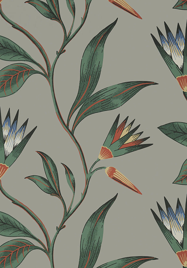 Anna French CLEO VINE Charcoal Wallpaper